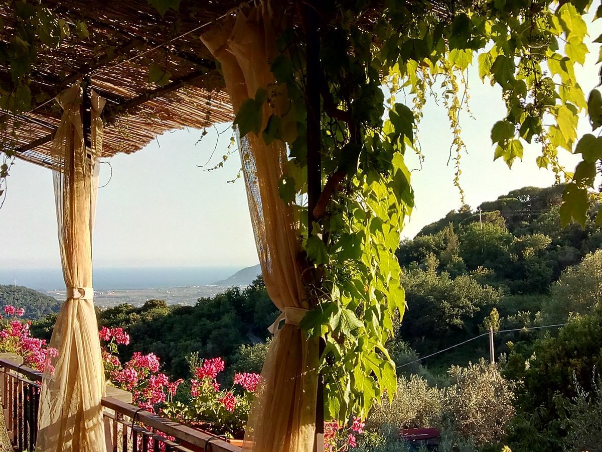 フォズディノーヴォ Casa Virgilio Bed & Breakfast エクステリア 写真